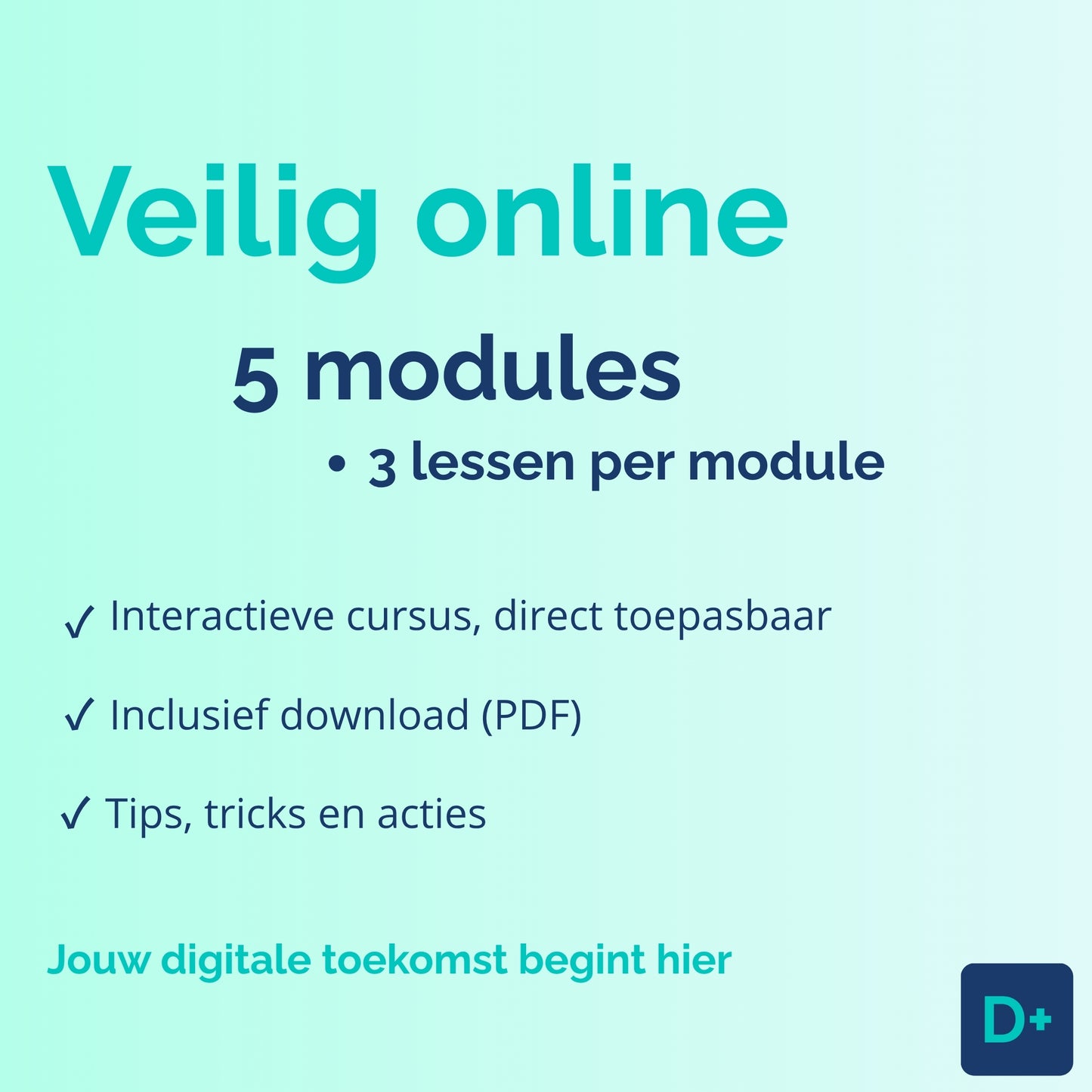 Online cursus Veilig Online — bescherming tegen phishing en oplichting — DigiPlus